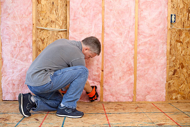 Best Crawl Space Insulation  in South Cleveland, TN